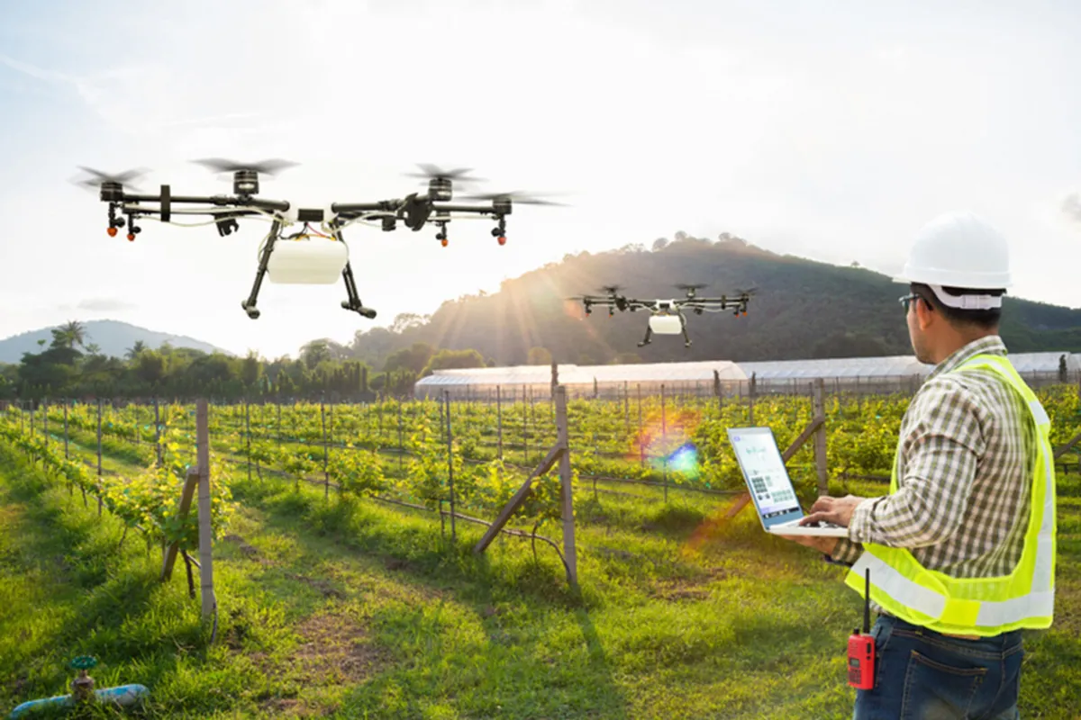 Une personne contrôle un drone au-dessus de vignes.